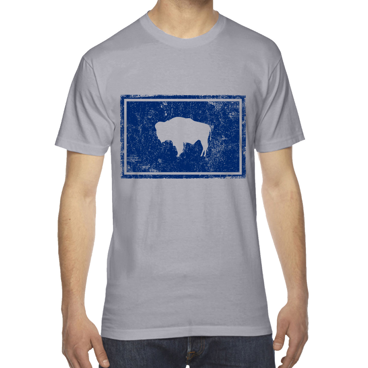 MENS STATE FLAG WYOMING WY VINTAGE NAVY BUFFALO AMERICAN APPAREL T